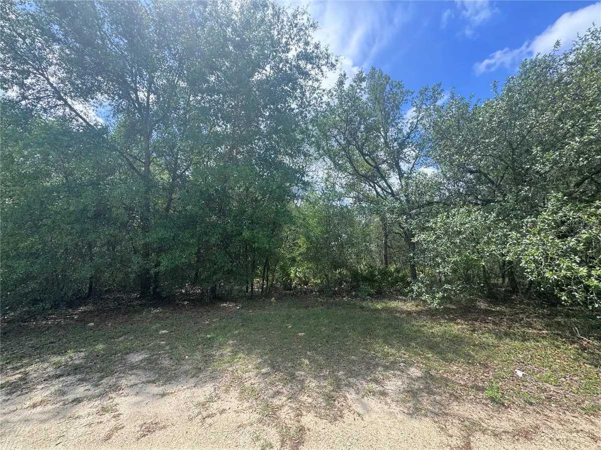 11548 NE 62nd Lane, Williston, FL 32696 - #1