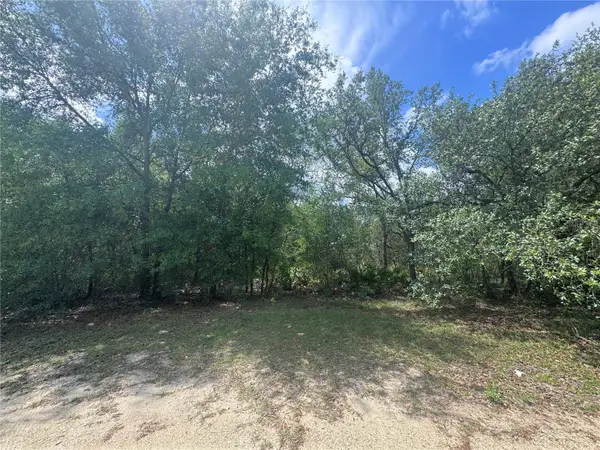 11548 NE 62nd Lane, WILLISTON, FL 32696