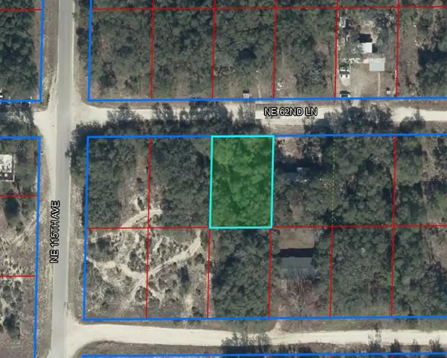 11548 NE 62nd Lane, Williston, FL 32696 - #2