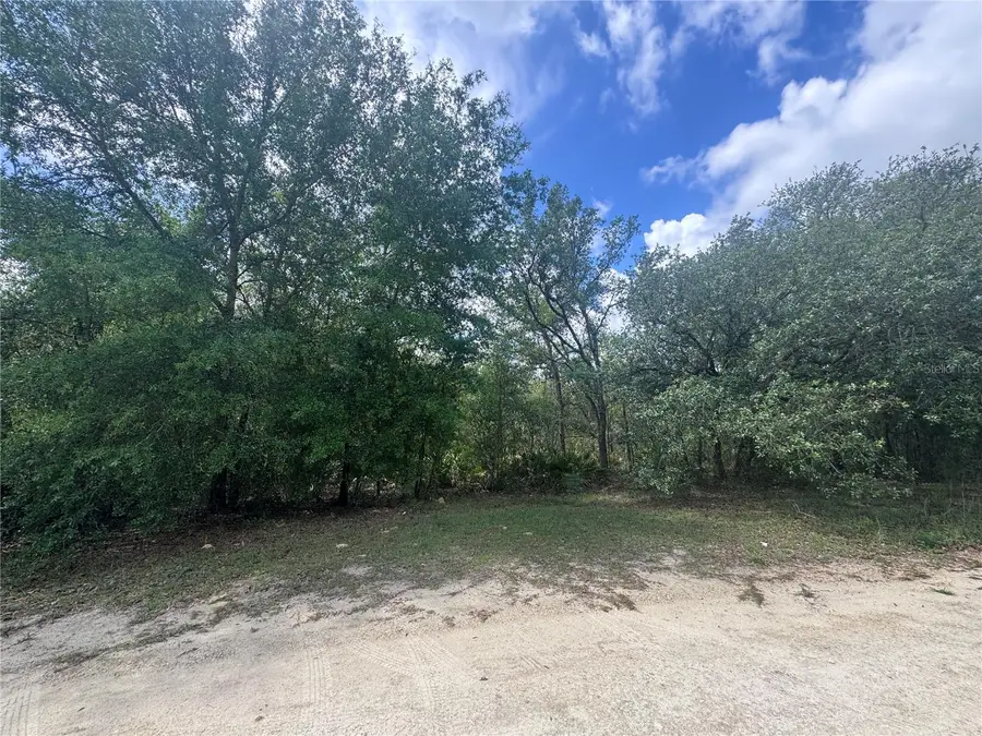 11548 NE 62nd Lane, Williston, FL 32696 - #3