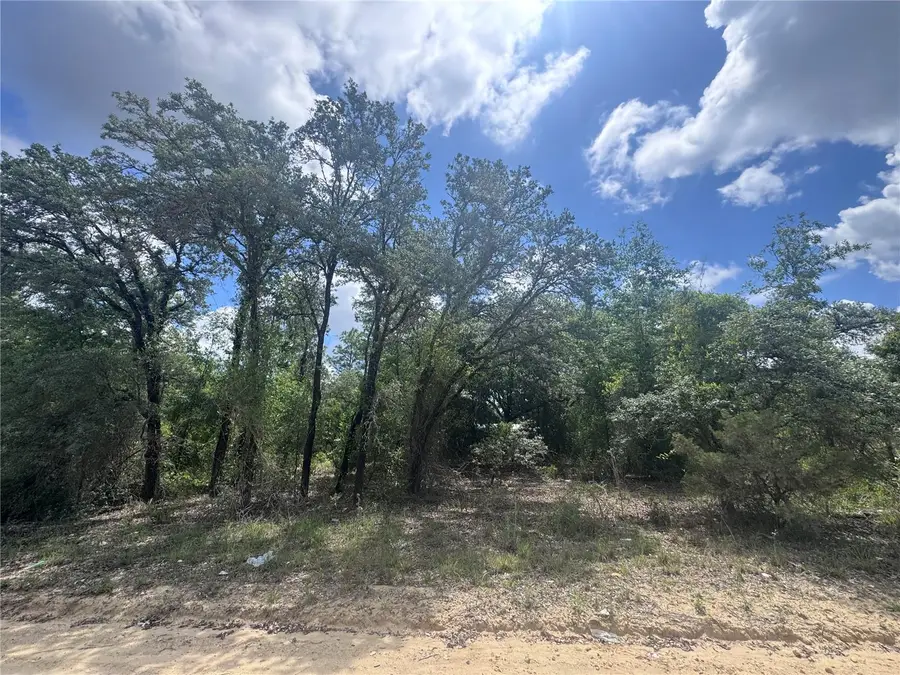 tbd NE 119th Terrace, Williston, FL 32696 - #2