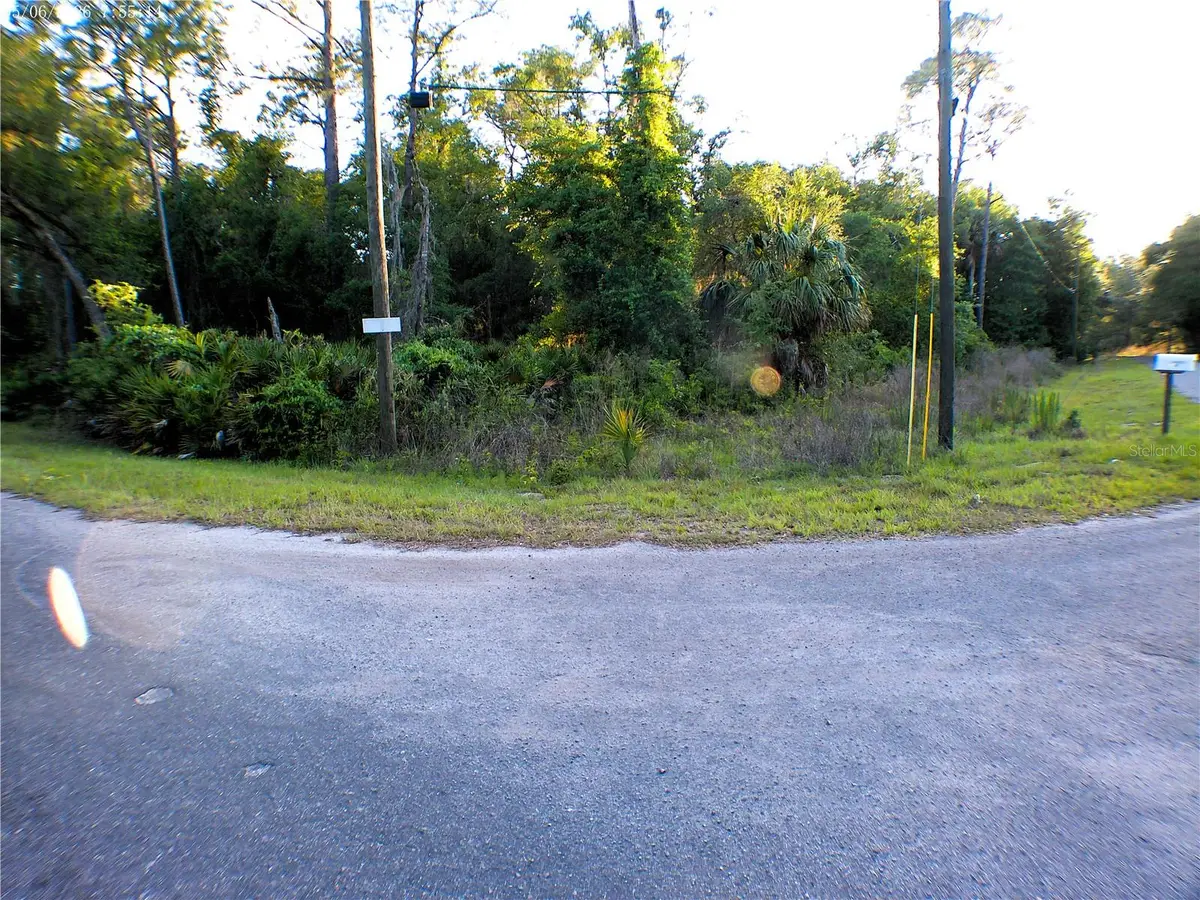 Sequoia Drive, Ocklawaha, FL 32179 - #1