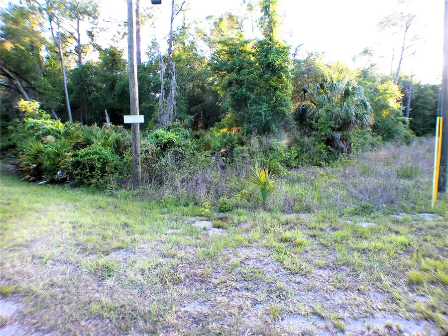 Sequoia Drive, Ocklawaha, FL 32179 - #2