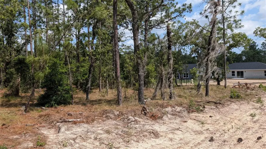 lot 32 NW Hemlock Avenue, Dunnellon, FL 34431 - #2