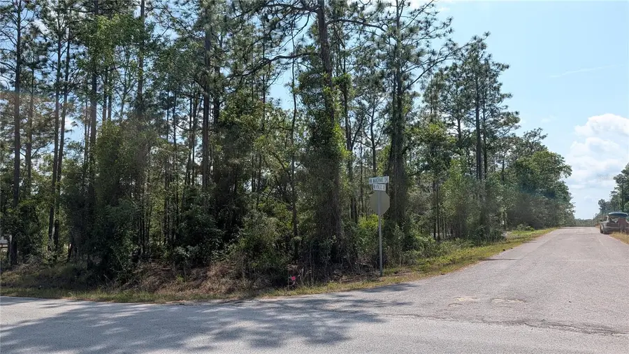 lot 32 NW Hemlock Avenue, Dunnellon, FL 34431 - #3