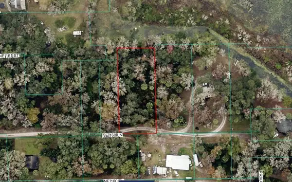 TBD NE 106 Lane, CITRA, FL 32113