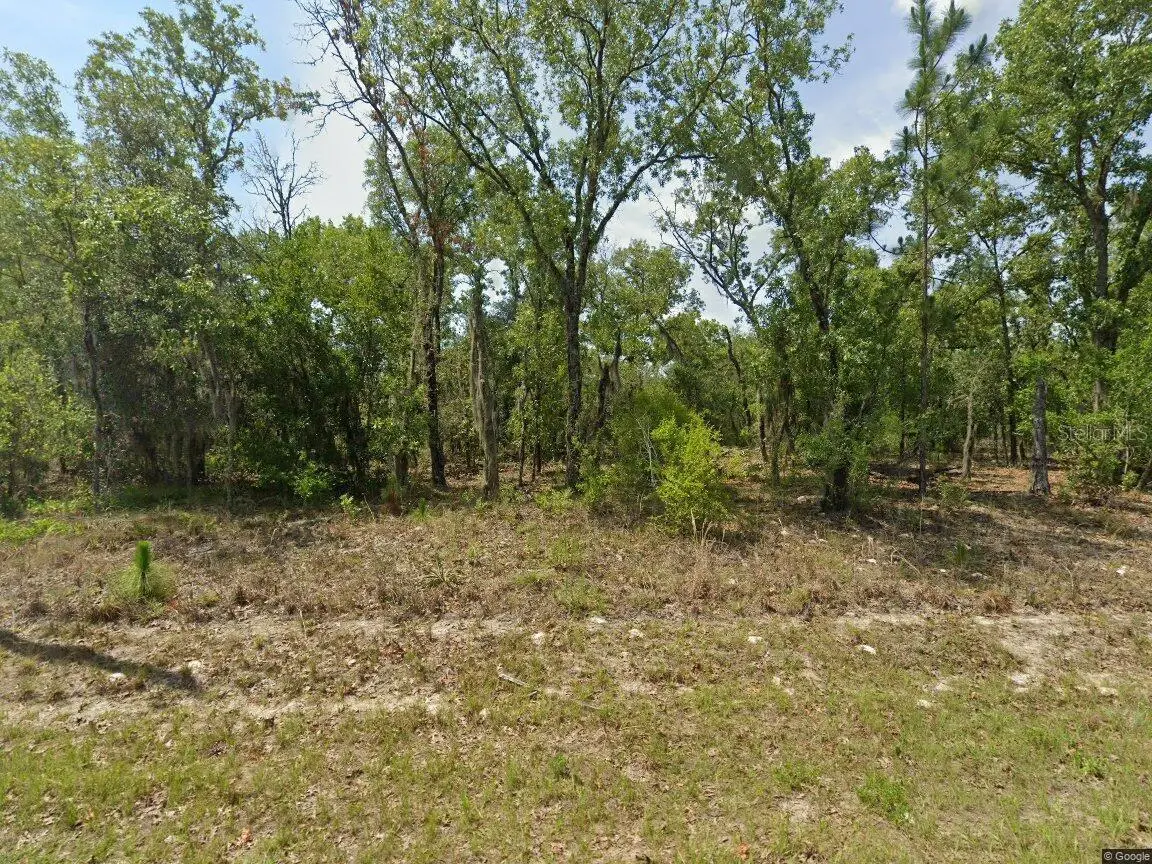 1900 W Magenta Drive, Citrus Springs, FL 34434 - #1