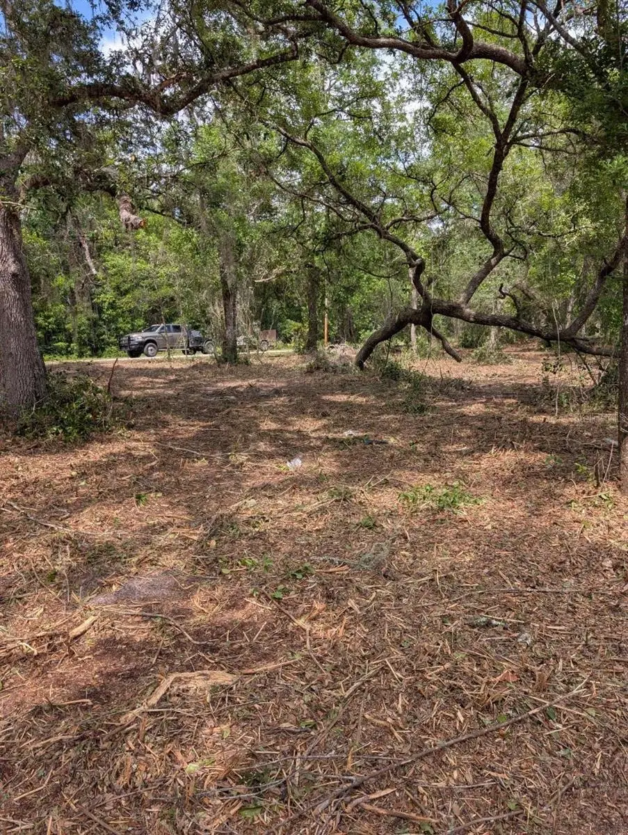 0 NE 220th Street, Fort McCoy Anthony, FL 32134 - #1
