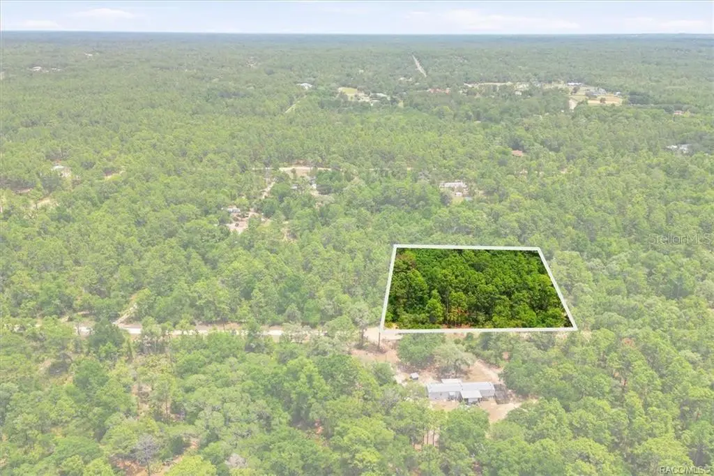5267 N Lace Point, Dunnellon, FL 34433 - #1