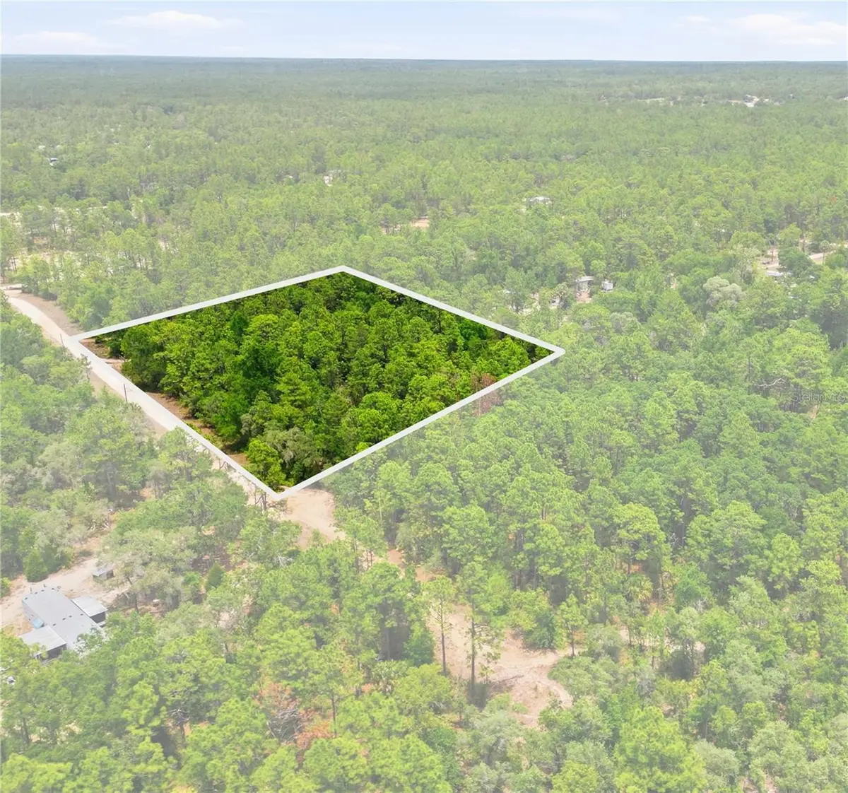 5339 N Lace Point, Dunnellon, FL 34433 - #1