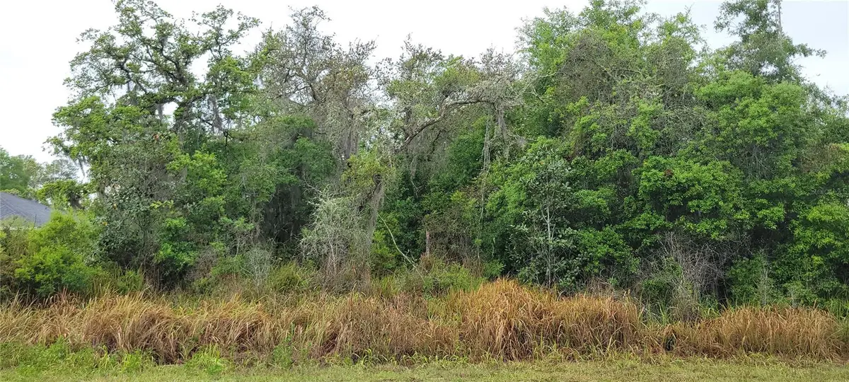 Spruce Road, Ocala, FL 34472 - #1