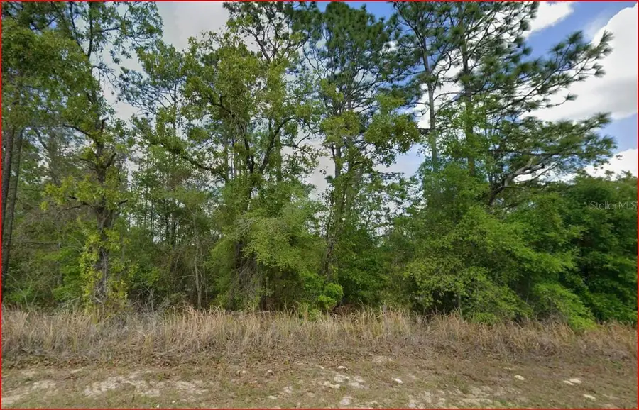 11016 N Mataro Avenue, Citrus Springs, FL 34434 - #2