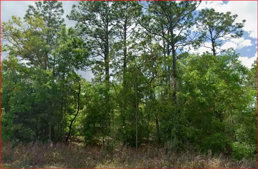 11016 N Mataro Avenue, Citrus Springs, FL 34434 - #3
