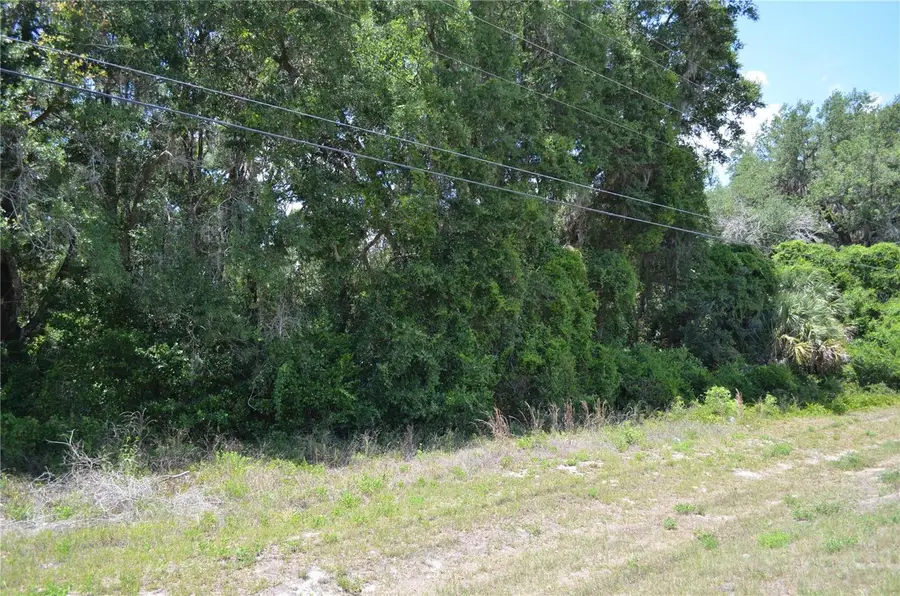 TBD N Us Hwy 301, Citra, FL 32113 - #2