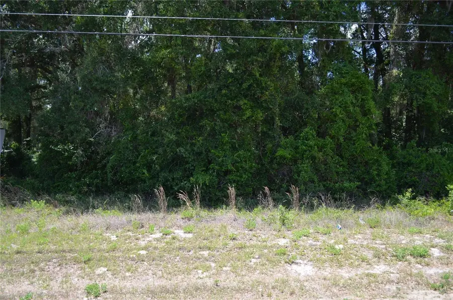 TBD N Us Hwy 301, Citra, FL 32113 - #3