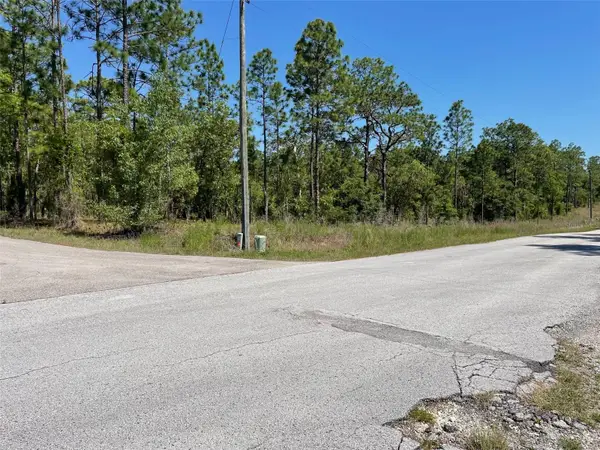 LOT 1 NW Mandrake Drive, DUNNELLON, FL 34431