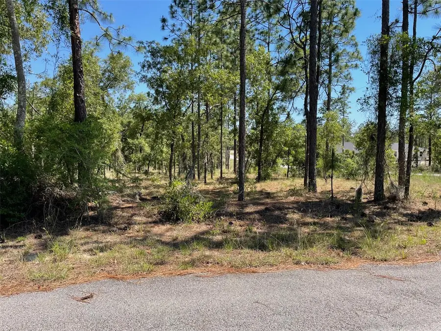 LOT 1 NW Mandrake Drive, Dunnellon, FL 34431 - #3