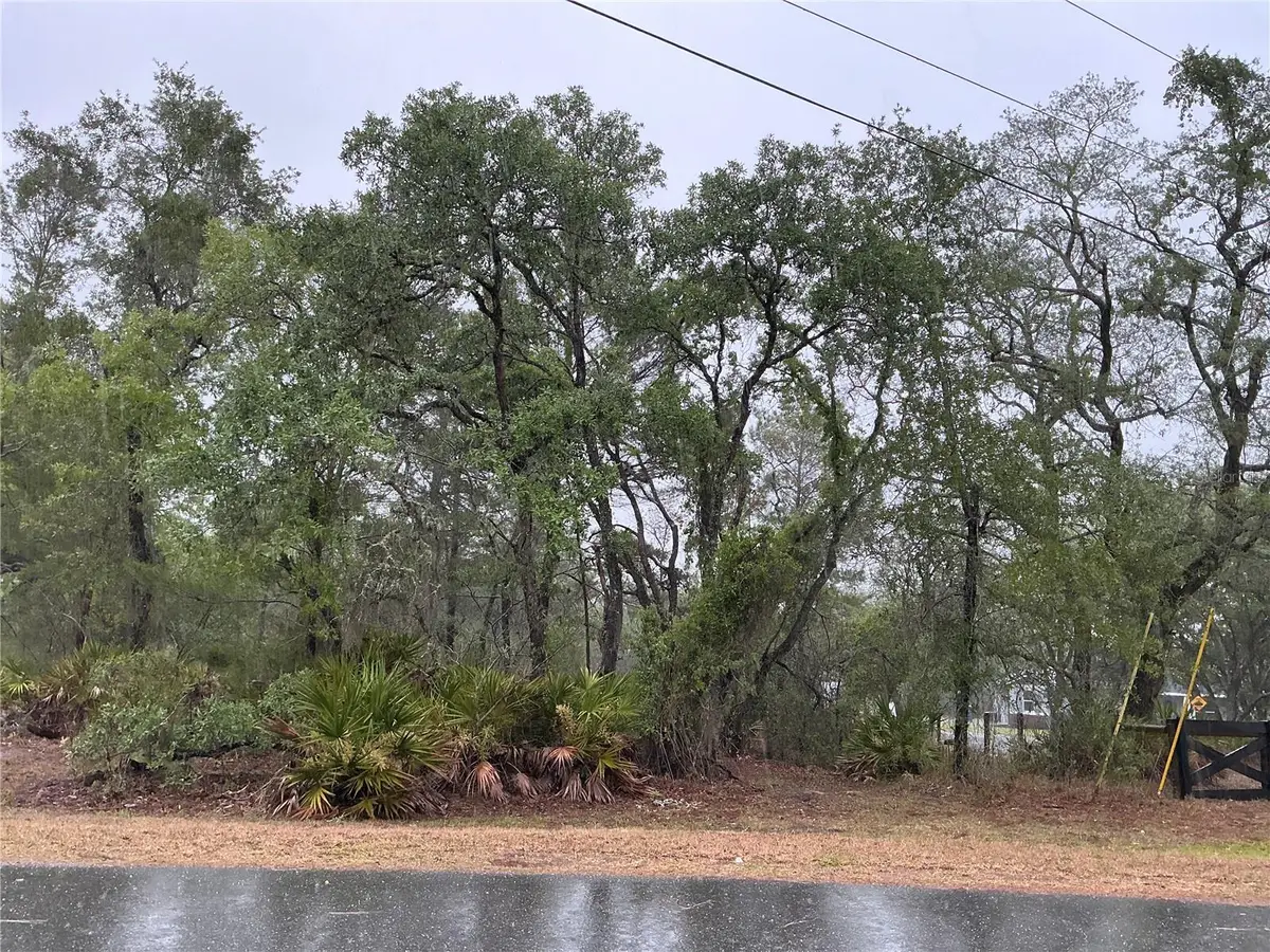 10353 Meadow Wren Avenue, Weeki Wachee, FL 34613 - #1