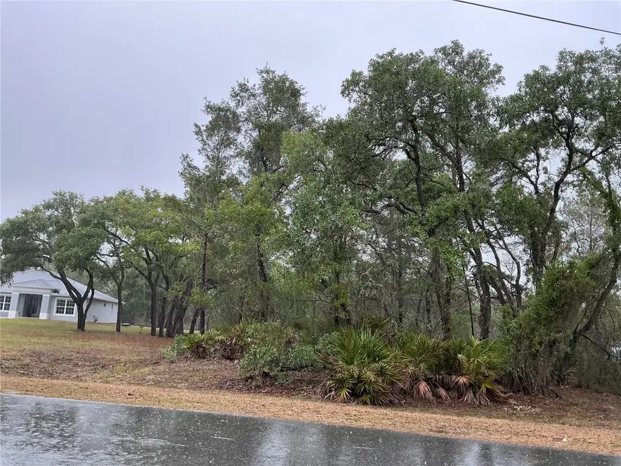 10353 Meadow Wren Avenue, Weeki Wachee, FL 34613 - #3