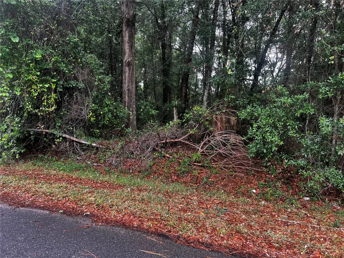 TBD NW 61st Ln., Ocala, FL 34482 - #1