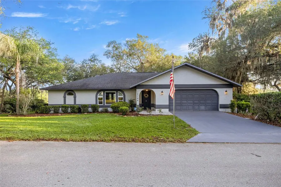16789 SE 69th Lane, Ocklawaha, FL 32179 - #2