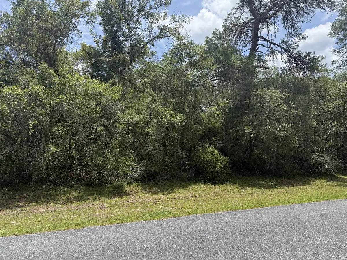TBD SW 29th Terrace Road, Ocala, FL 34473 - #1