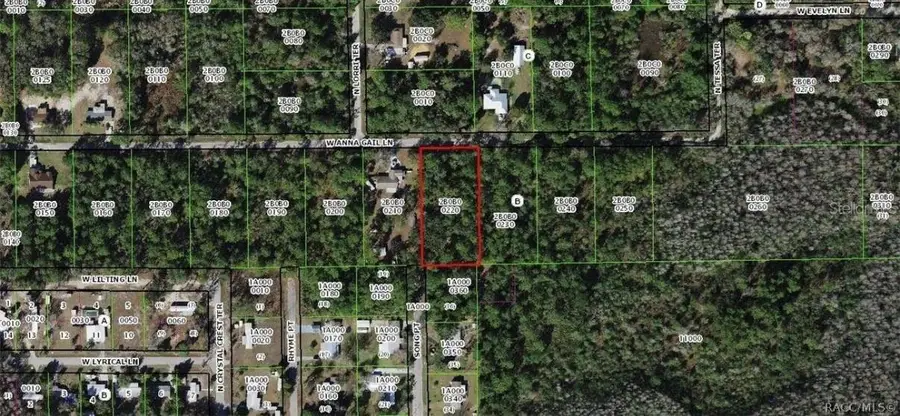 8266 W Anna Gail Lane, Crystal River, FL 34429 - #2