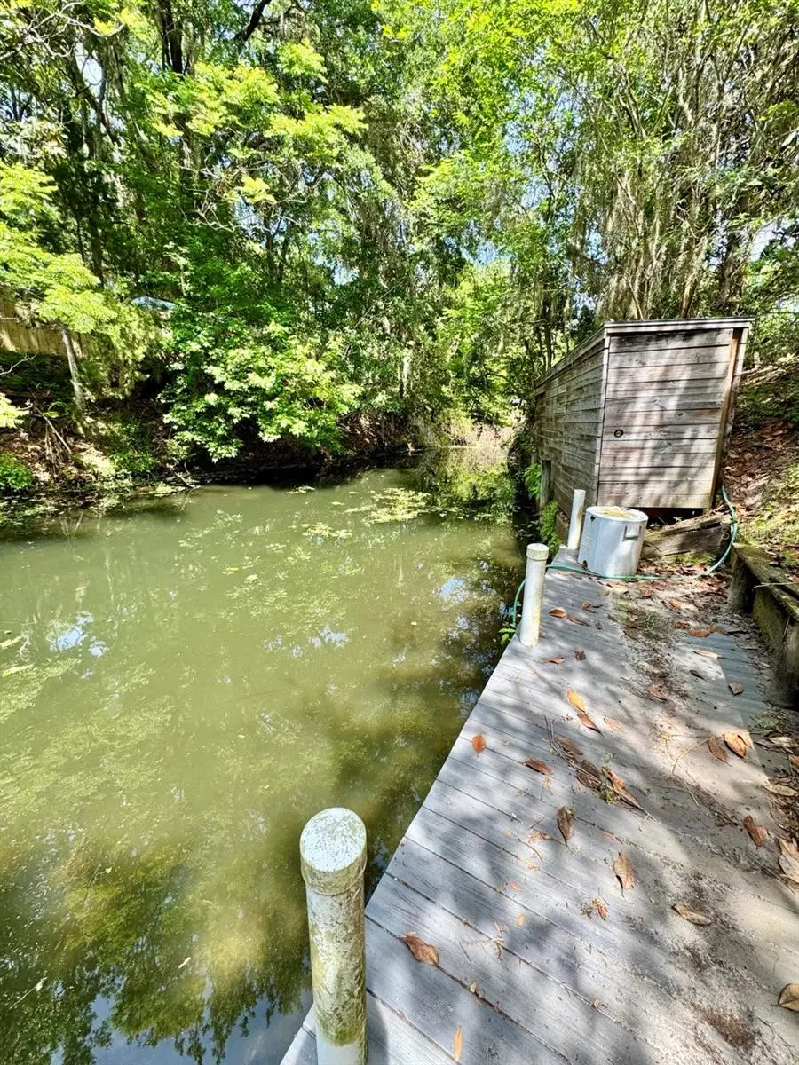 30391 NE 97th Place, Salt Springs, FL 32134 - #3