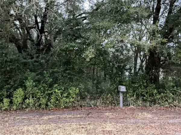 0 SE 143rd Place, SUMMERFIELD, FL 34491