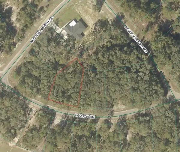 Sequoia Loop Drive, OCKLAWAHA, FL 32179