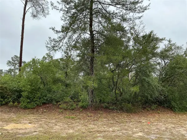 SW 20th Court, OCALA, FL 34473