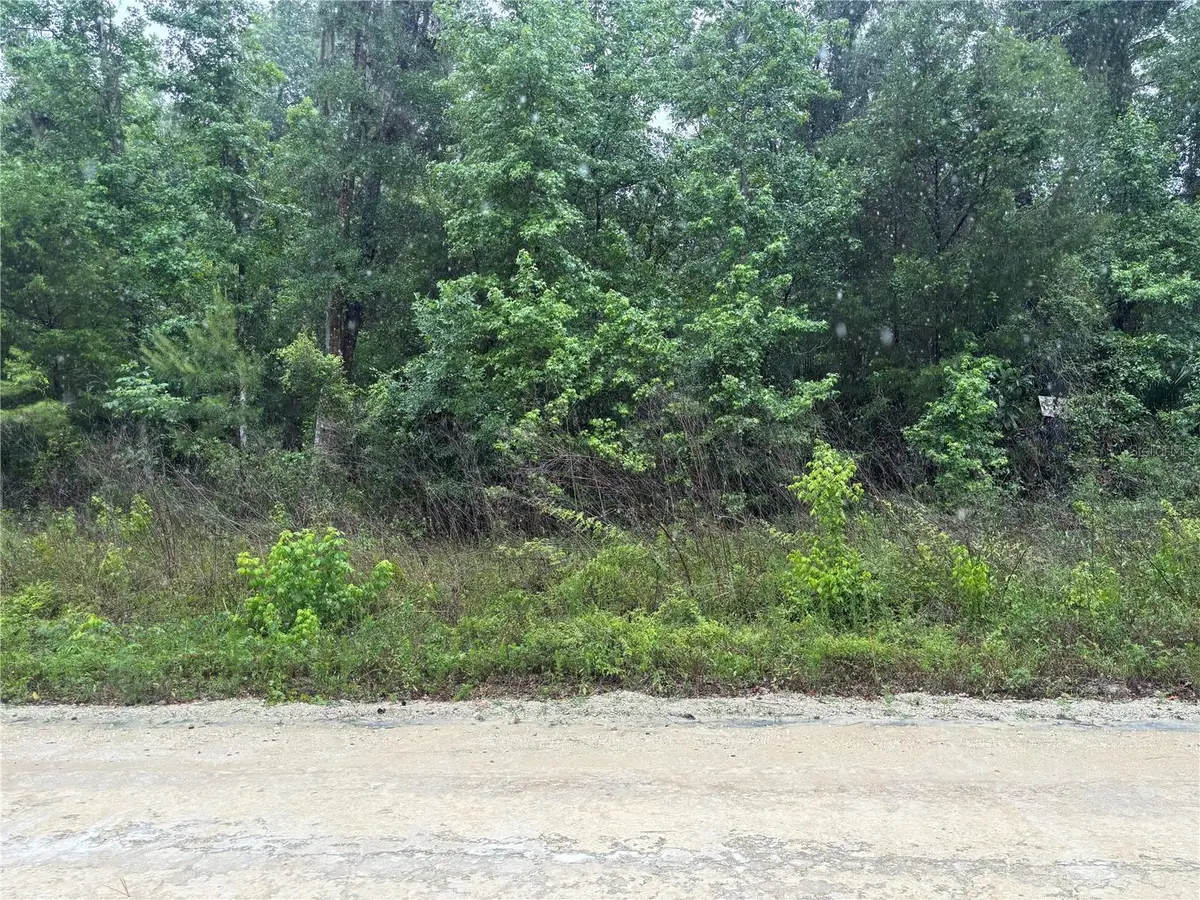 0000 SW 7th Lane, Ocala, FL 34481 - #1