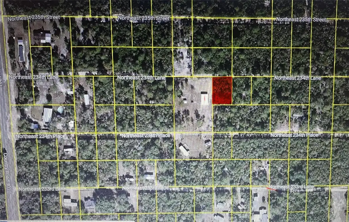 TBD NE 234th Lane, Fort McCoy, FL 32134 - #1