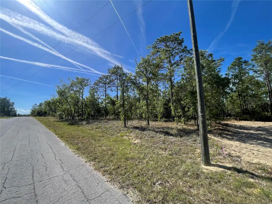 NE 7th Place, Williston, FL 32696 - #3