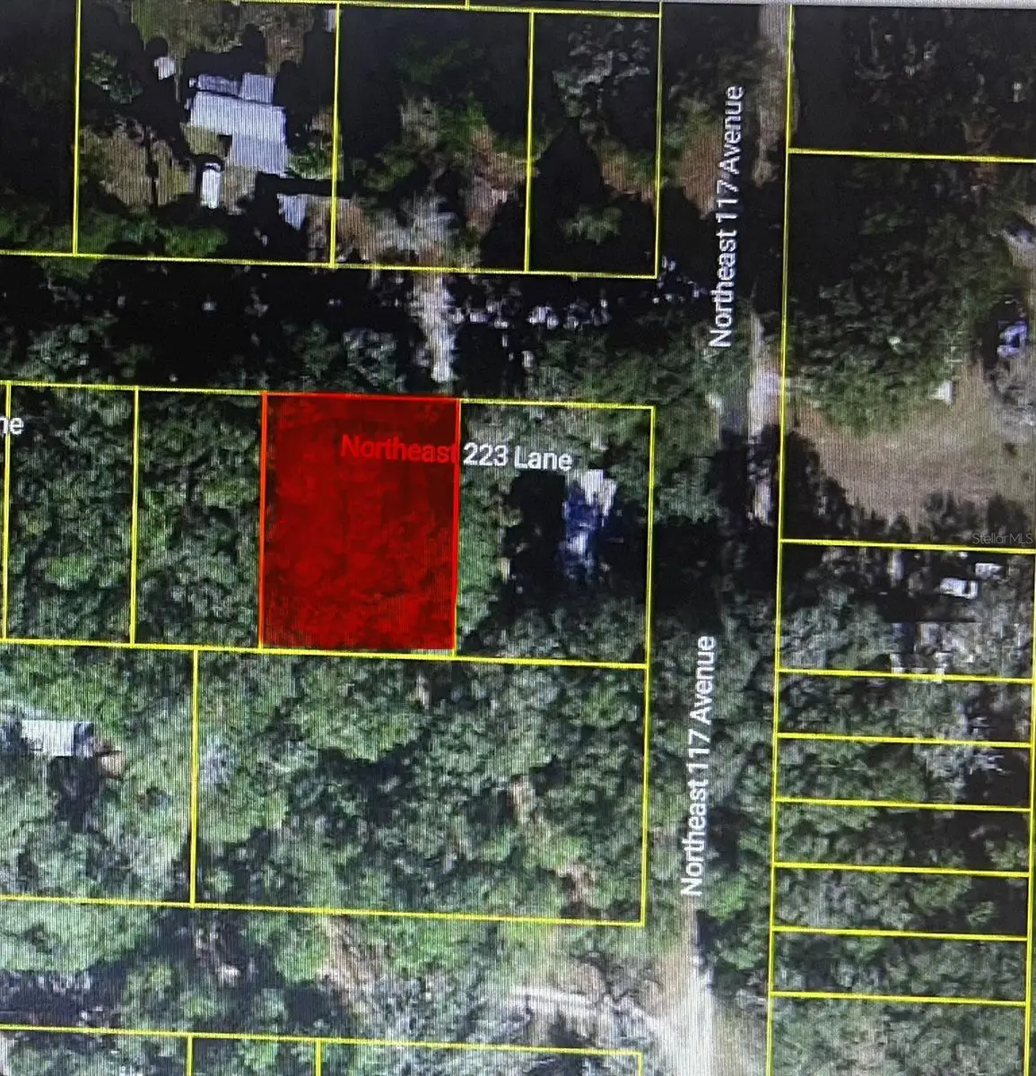 TBD NE 223rd Lane, Fort McCoy Anthony, FL 32134 - #1