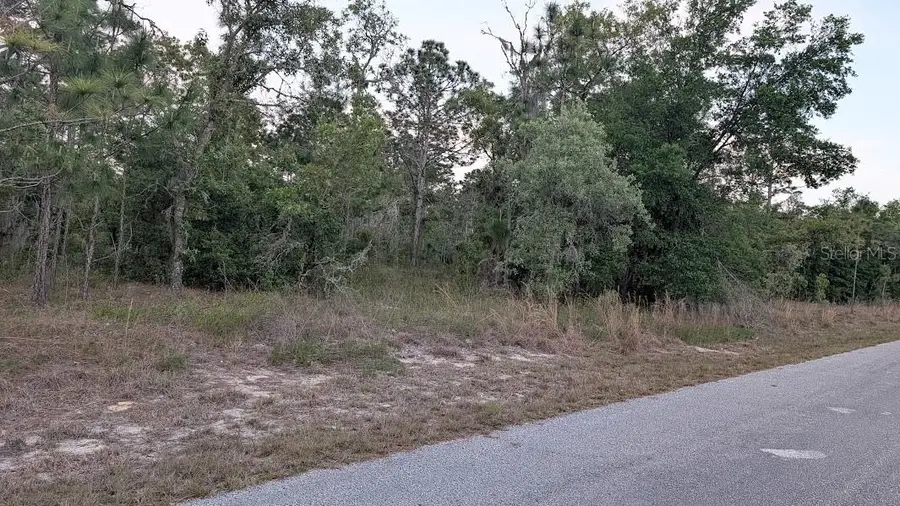 SW Half Moon Drive, Dunnellon, FL 34431 - #2