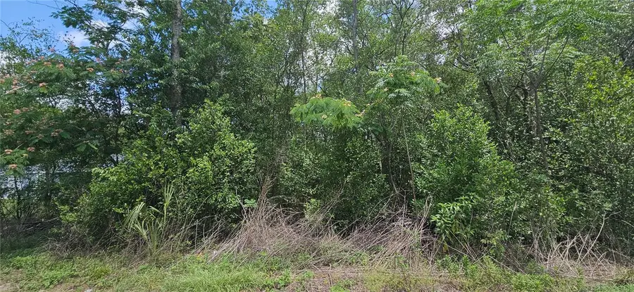 144th, Summerfield, FL 34491 - #2