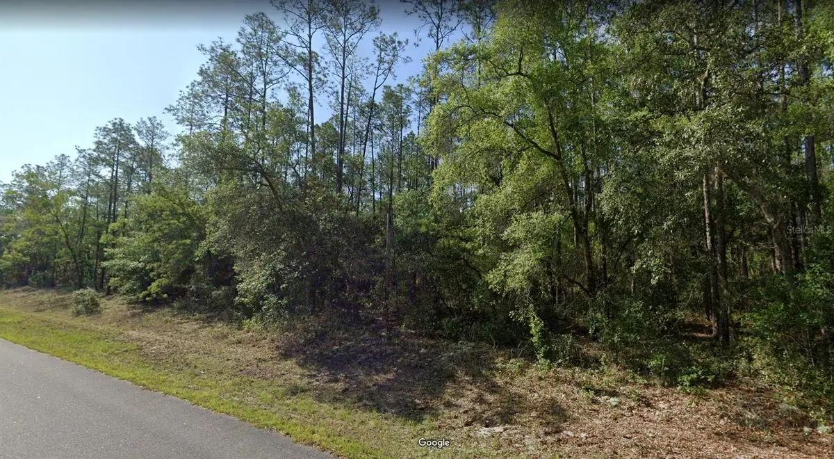 546 E Bimini Drive, Dunnellon, FL 34434 - #1