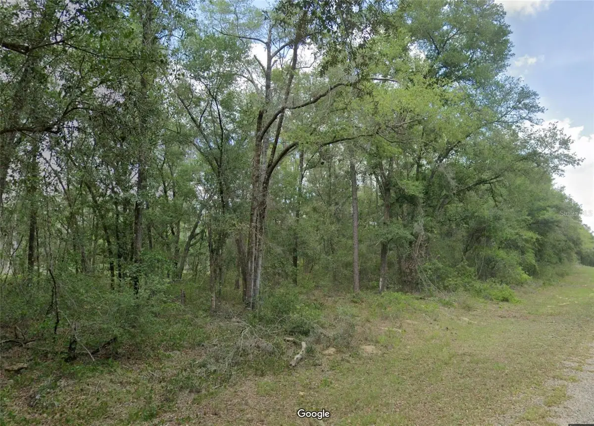 719 E Byrd Loop, Dunnellon, FL 34434 - #1