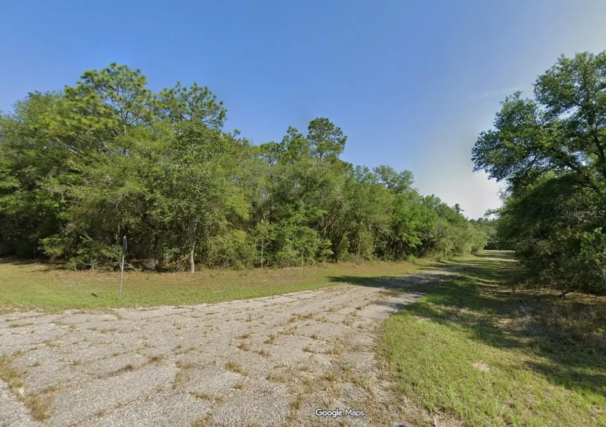 9300 N Lampson Terrace, Citrus Springs, FL 34434 - #1