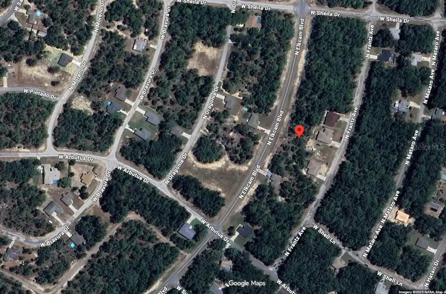 10697 N Elkcam Boulevard, Citrus Springs, FL 34433 - #2
