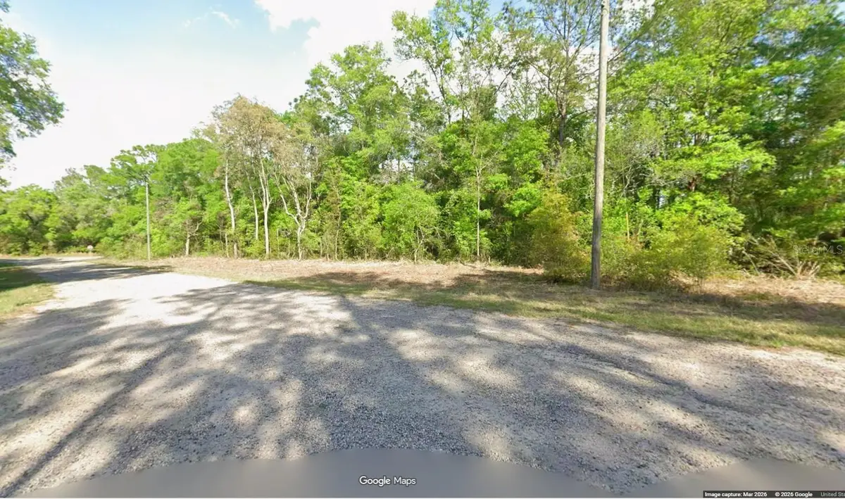10865 N Hatari Drive, Citrus Springs, FL 34434 - #1