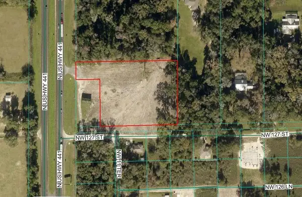 TBD N Us Highway 441, CITRA, FL 32113