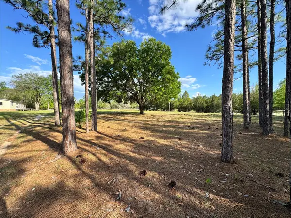 4551 NE 132nd Court, WILLISTON, FL 32696