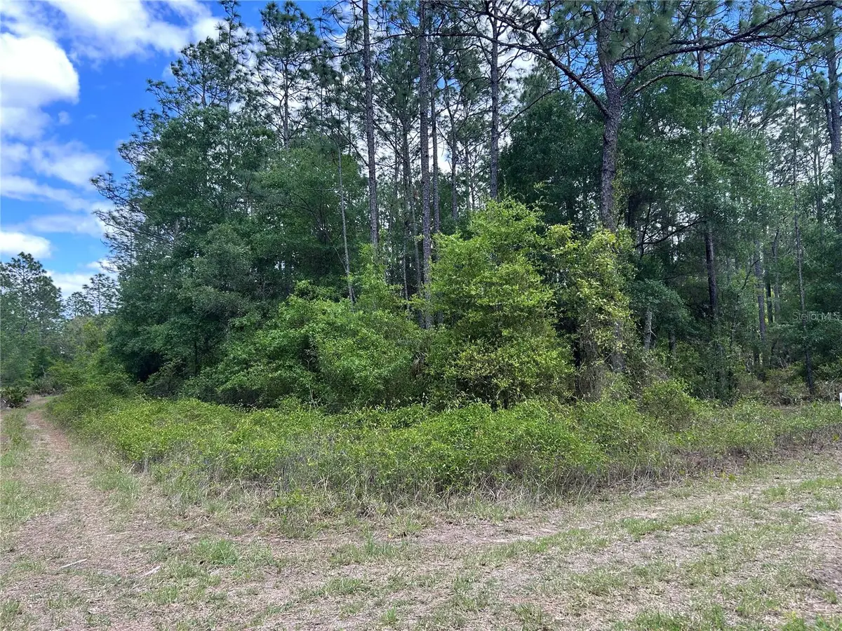 TBD SW 159th Avenue, Ocala, FL 34481 - #1