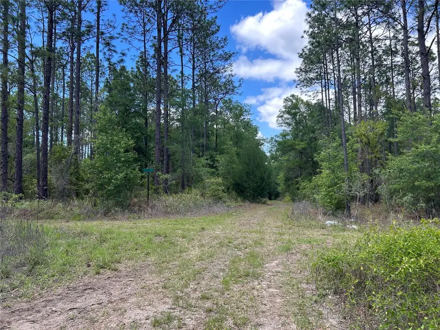 TBD SW 159th Avenue, Ocala, FL 34481 - #3