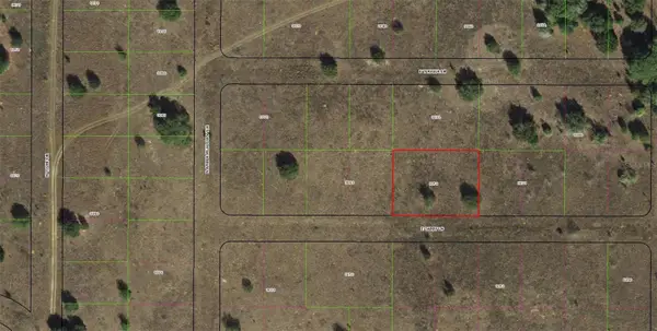 2307 E Tabby Lane, INVERNESS, FL 34453
