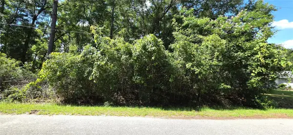 TBD Lot 11 NW 61st Lane, OCALA, FL 34482