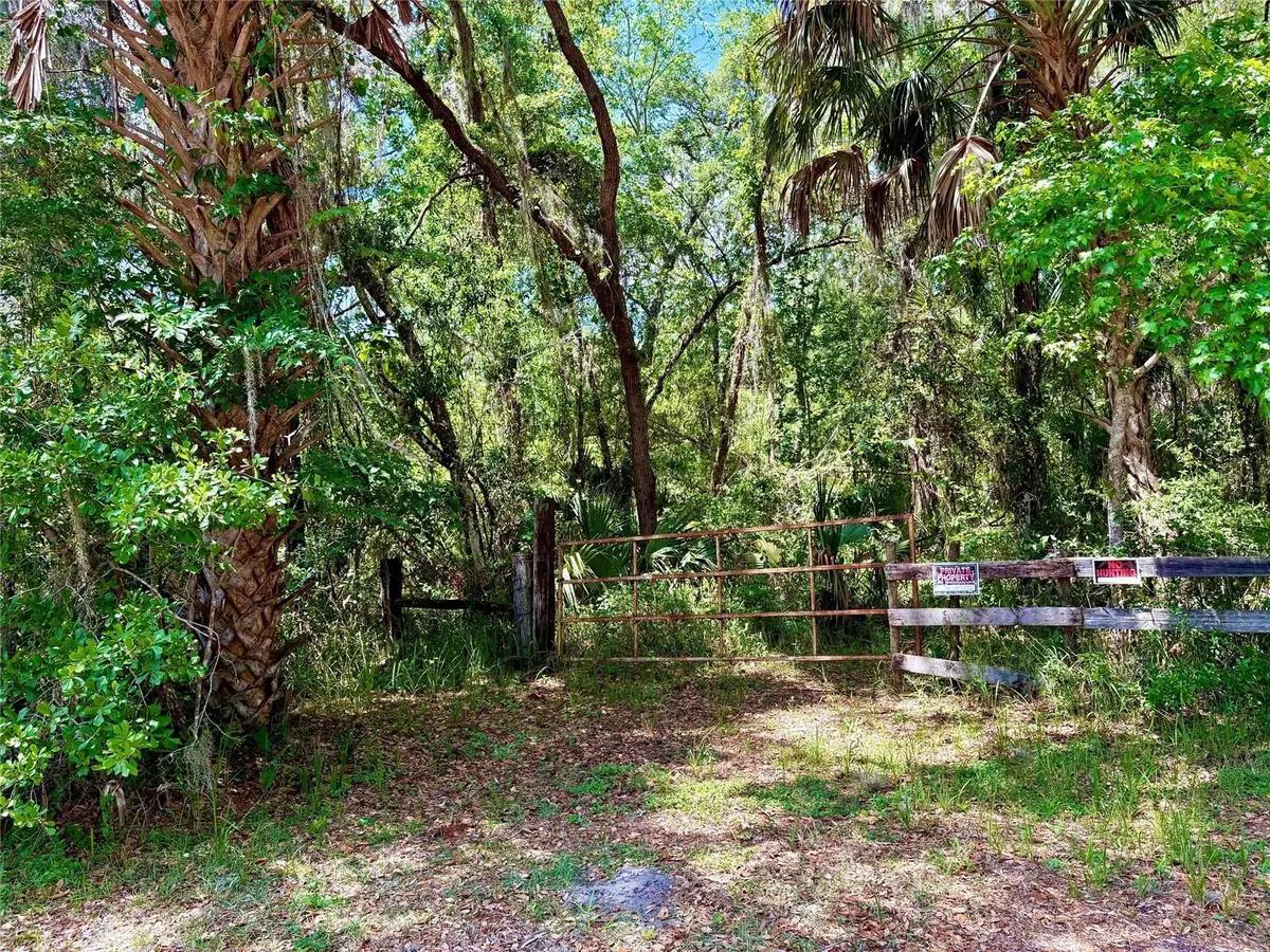 Old Crystal River Road, Brooksville, FL 34601 - #1