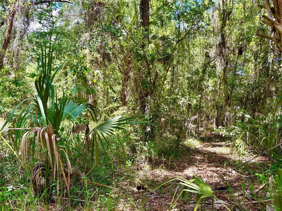 Old Crystal River Road, Brooksville, FL 34601 - #2